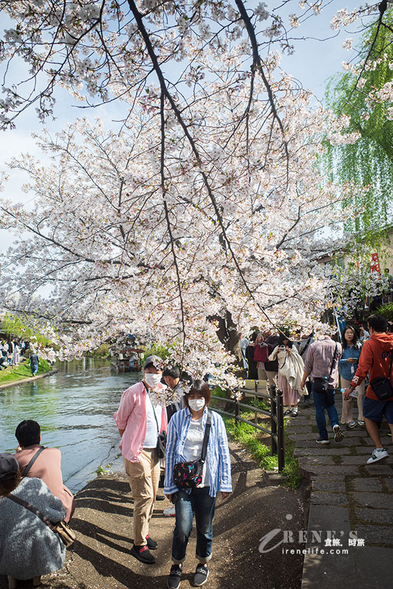 推薦京都賞櫻景點，小舟、川流、櫻花隧道，唯美到令人屏息