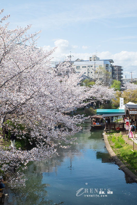 推薦京都賞櫻景點，小舟、川流、櫻花隧道，唯美到令人屏息