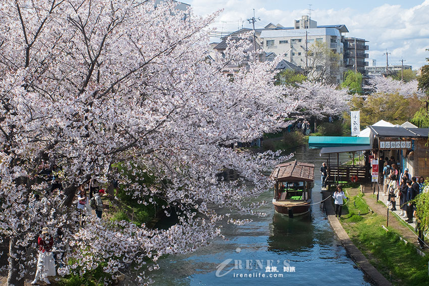 網站近期文章：推薦京都賞櫻景點，小舟、川流、櫻花隧道，唯美到令人屏息