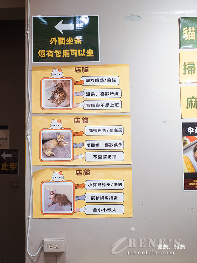桃園藝文特區美食｜馮羽樓雞肉飯賣所，神還原中華一番烏雞飯！隱藏巷弄的貓咪餐廳