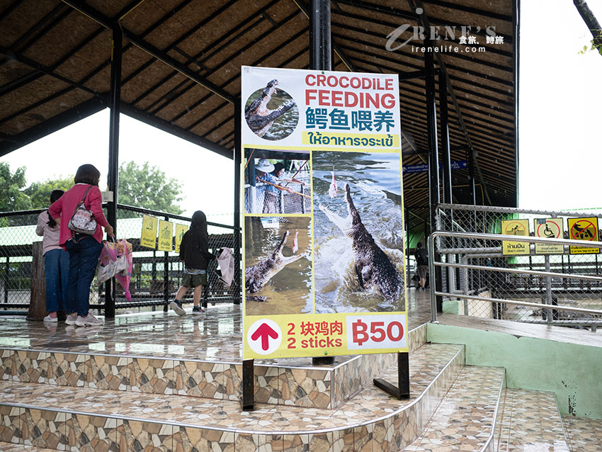 被成群長頸鹿包圍!大城獅子王動物園:吉普車合照登記技巧、各動物互動費用總整理 被成群長頸鹿包圍!大城獅子王動物園:吉普車合照登記技巧、各動物互動費用總整理