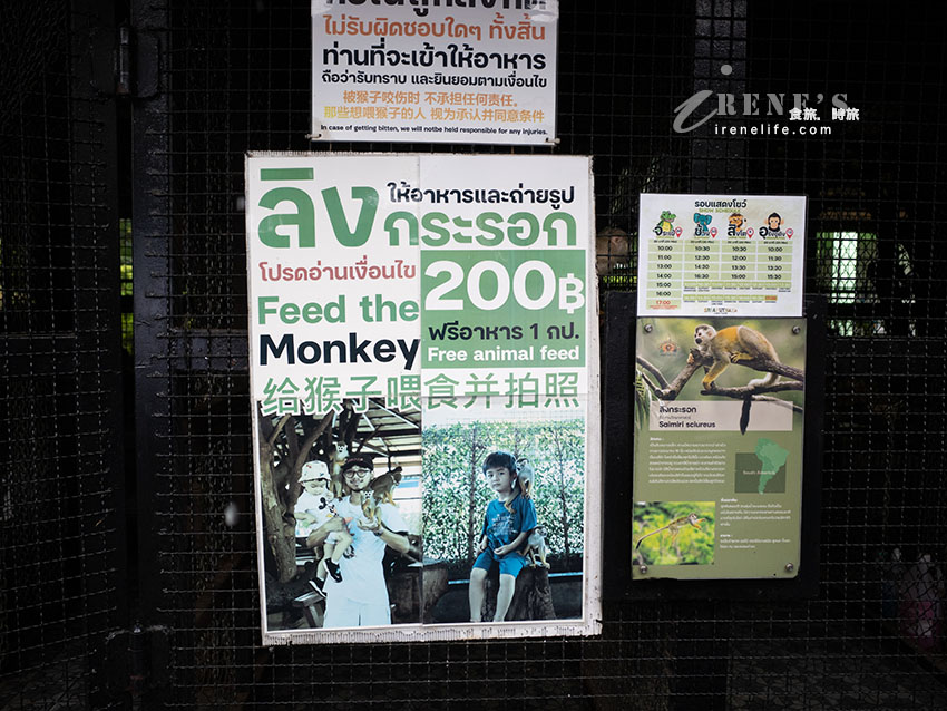被成群長頸鹿包圍!大城獅子王動物園:吉普車合照登記技巧、各動物互動費用總整理 被成群長頸鹿包圍!大城獅子王動物園:吉普車合照登記技巧、各動物互動費用總整理