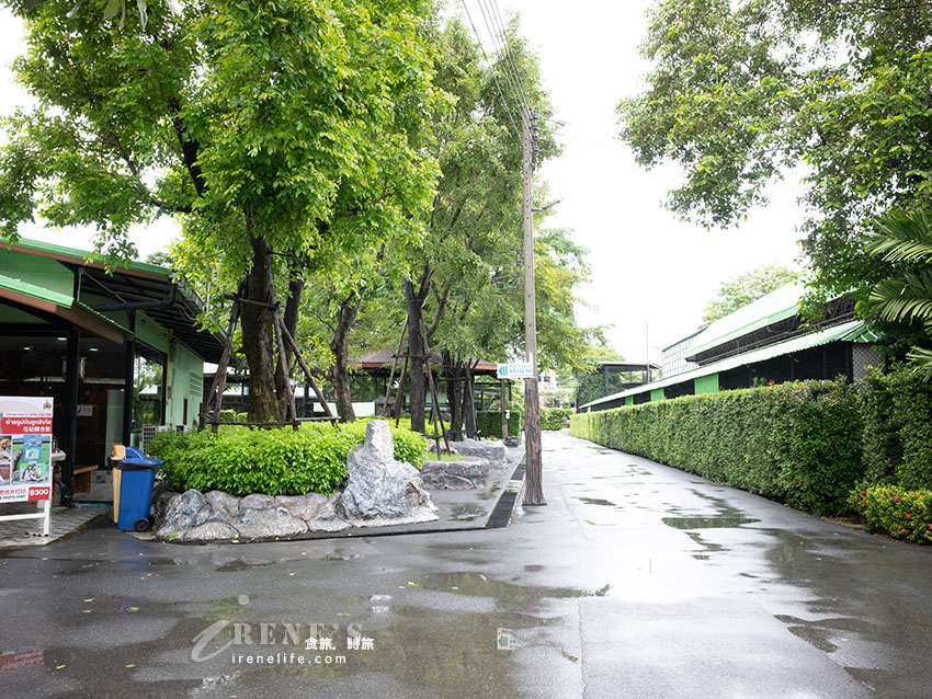 被成群長頸鹿包圍!大城獅子王動物園:吉普車合照登記技巧、各動物互動費用總整理 被成群長頸鹿包圍!大城獅子王動物園:吉普車合照登記技巧、各動物互動費用總整理